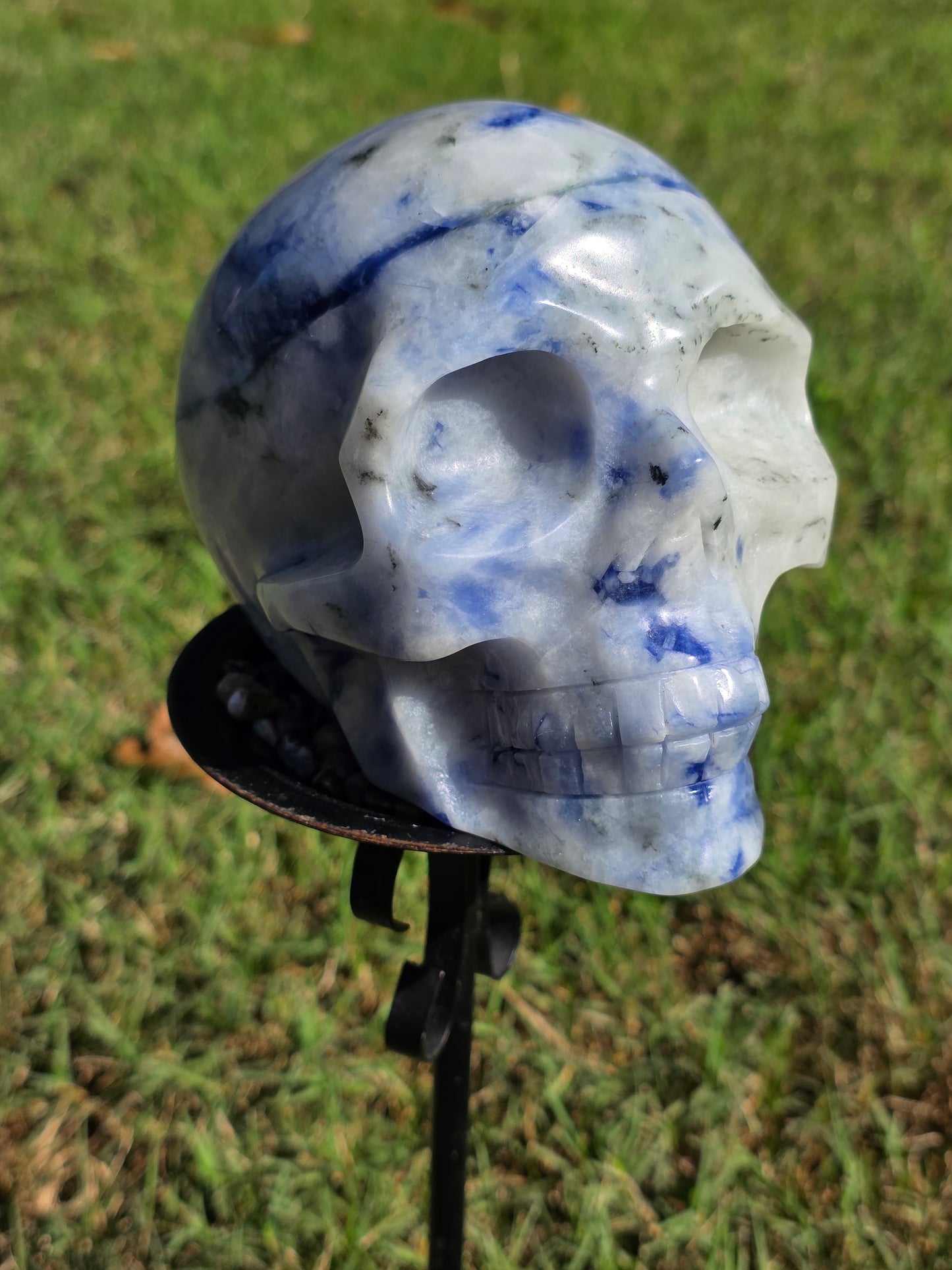 ๐ต Afghanite Skull โ Lapis of the Stars (approx. 5 in, UV Reactive)