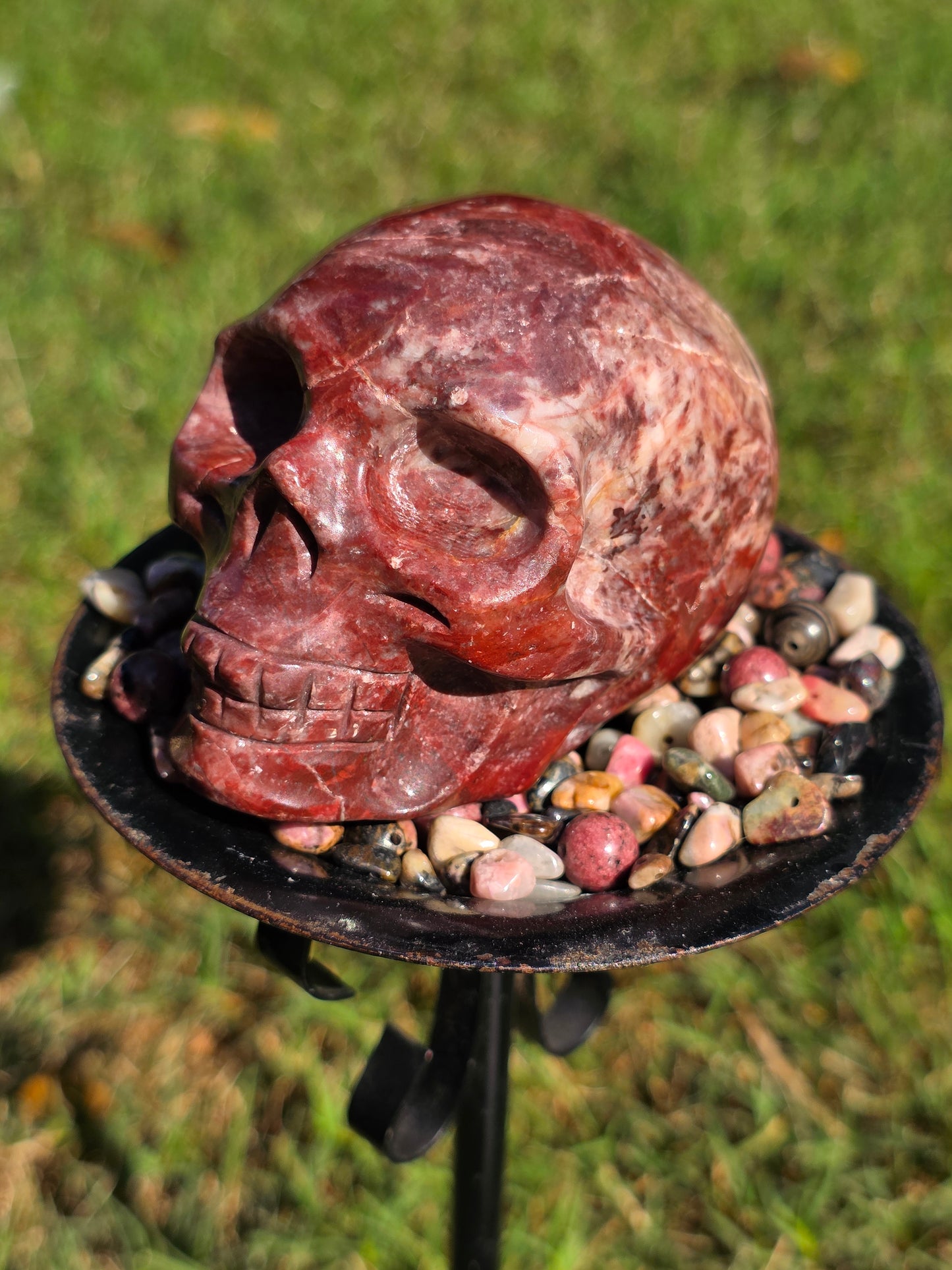 ❤️ Red Ocean Jasper Skull – Flame of the Earth (approx. 3.25 in)