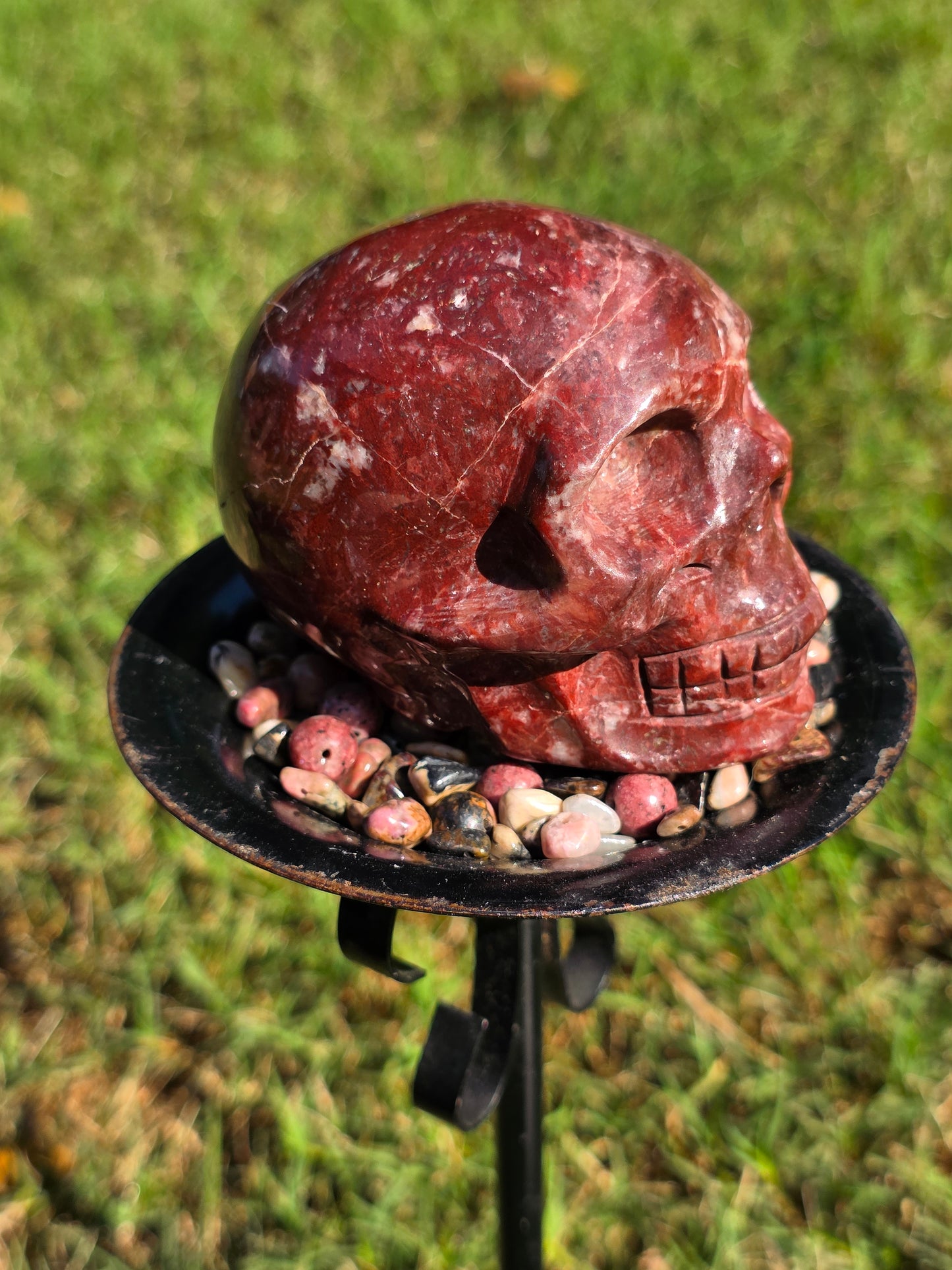 ❤️ Red Ocean Jasper Skull – Flame of the Earth (approx. 3.25 in)