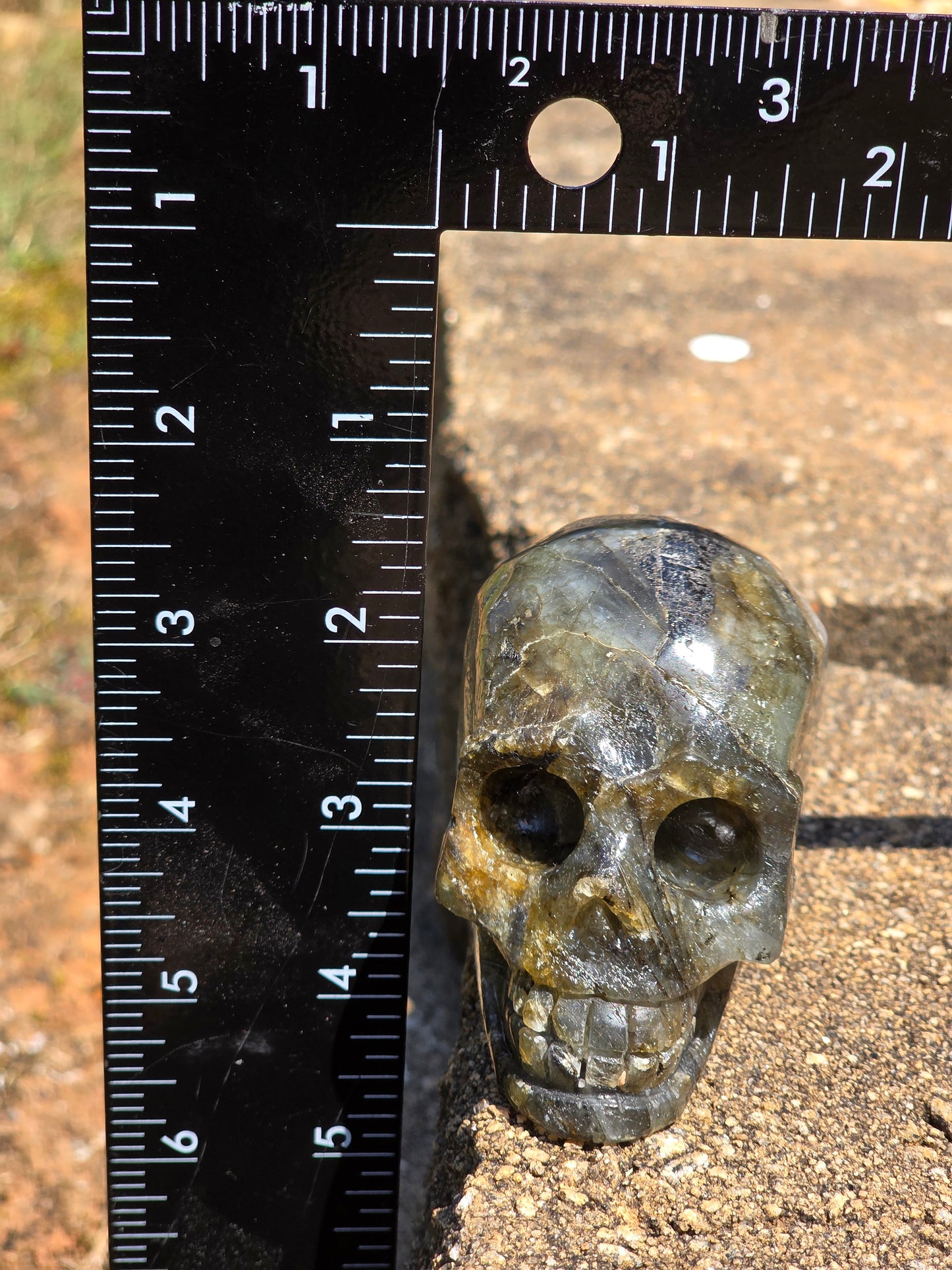 🌿 Garden Quartz Skull – Earth’s Timekeeper (approx. 2 in)