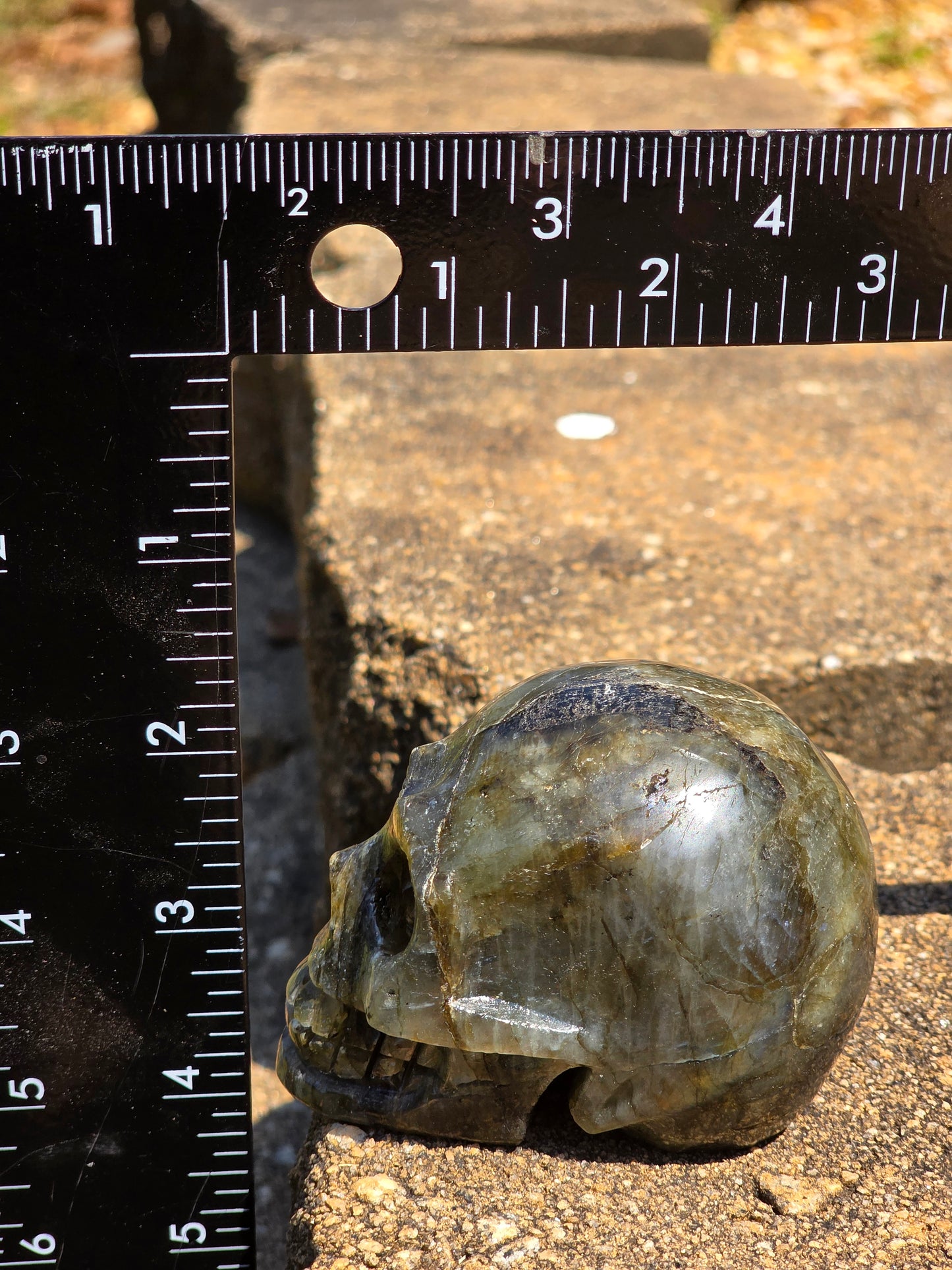 🌿 Garden Quartz Skull – Earth’s Timekeeper (approx. 2 in)