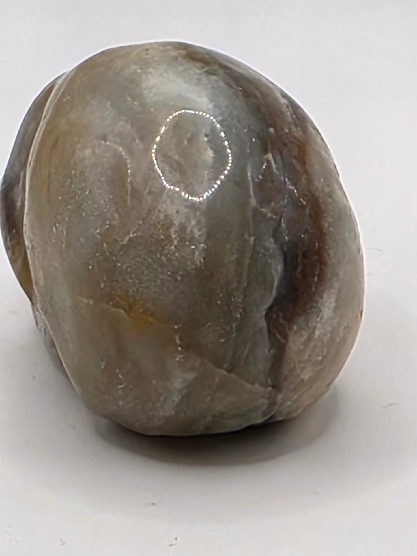 ๐ Caribbean Calcite Skull Carving โ Ocean Whisper (2" x 1.5" x 1.25")