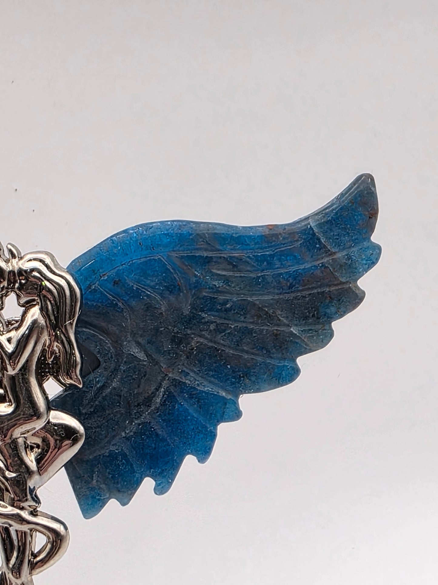 Close-up of Blue Apatite wing featuring deep oceanic blue shimmer.