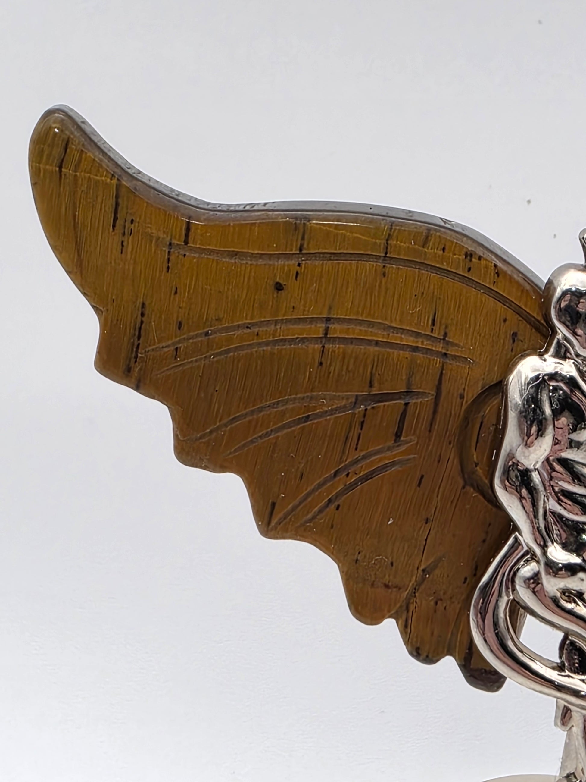 Close-up of Tiger’s Eye wing with golden chatoyance and protective energy.
