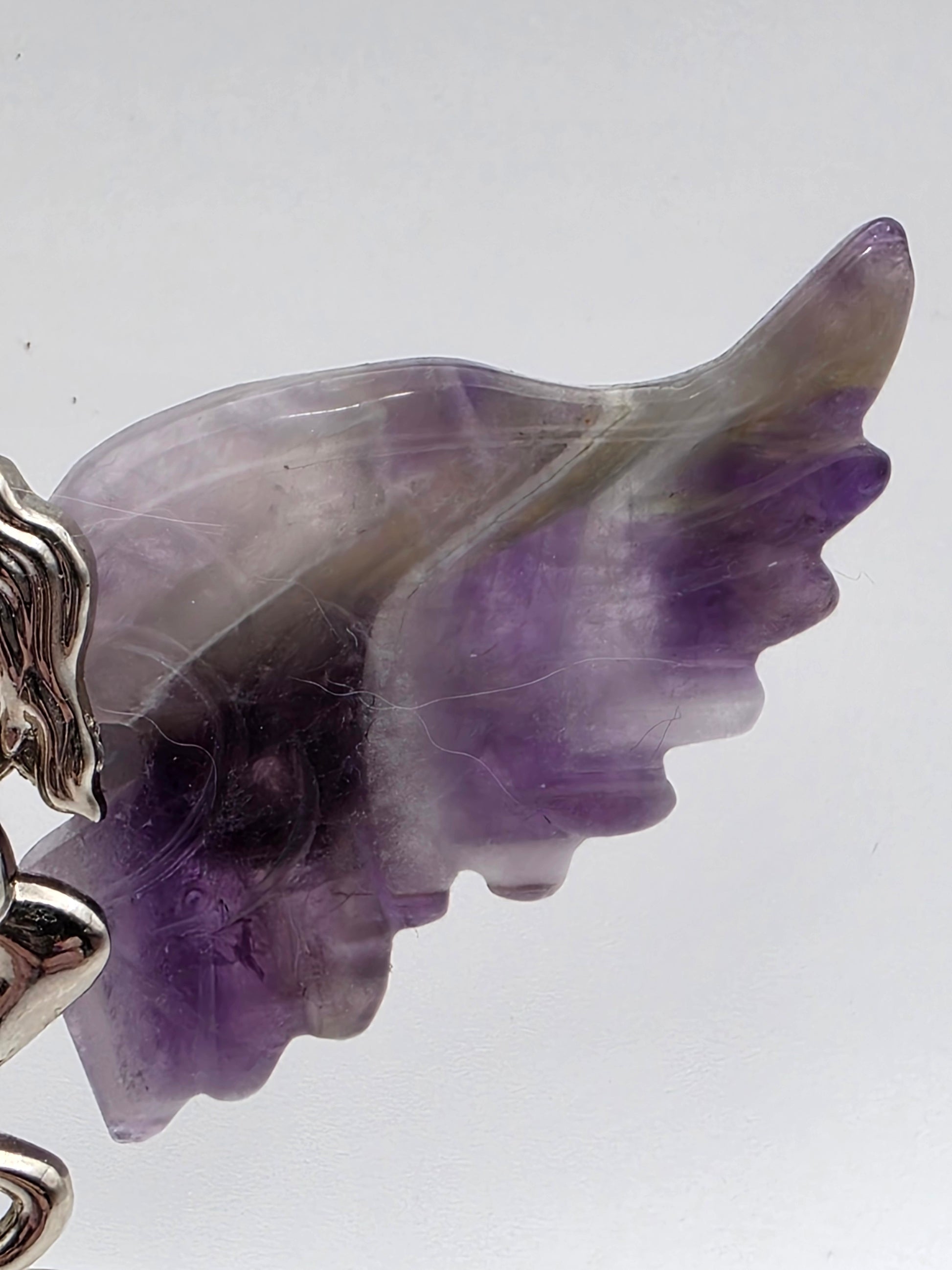 Close-up of Amethyst wing showing rich violet tones and natural banding.