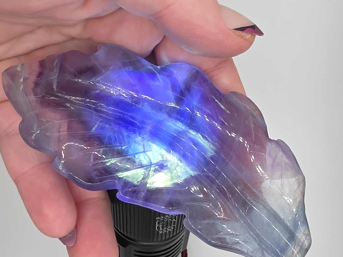 🔮 Rainbow Fluorite Feather Carving — Intuitive Focus (4.3" x 2")