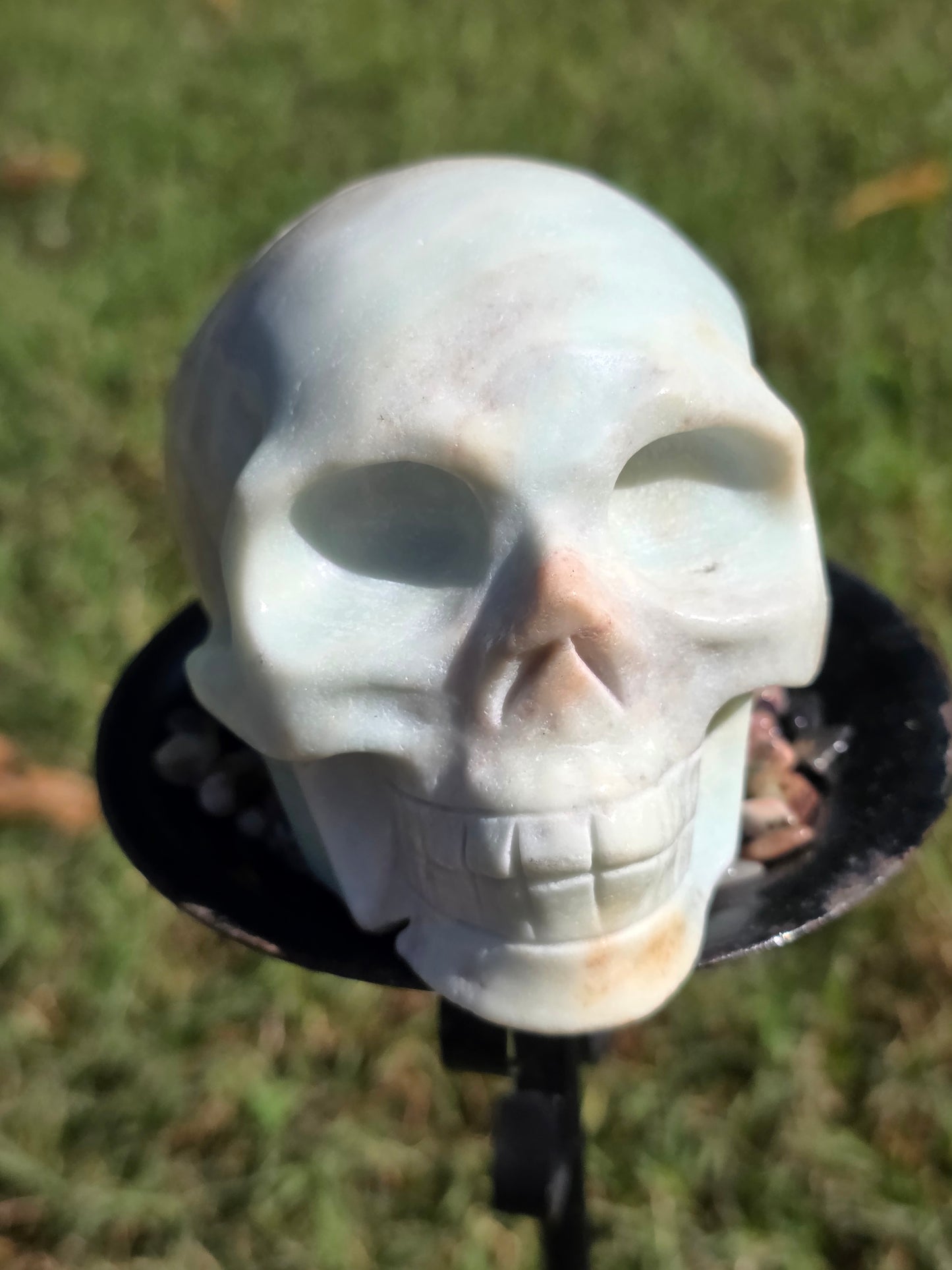 🌴 Caribbean Calcite Skull – Ocean Dreamer (approx. 3.5 in, UV Reactive)