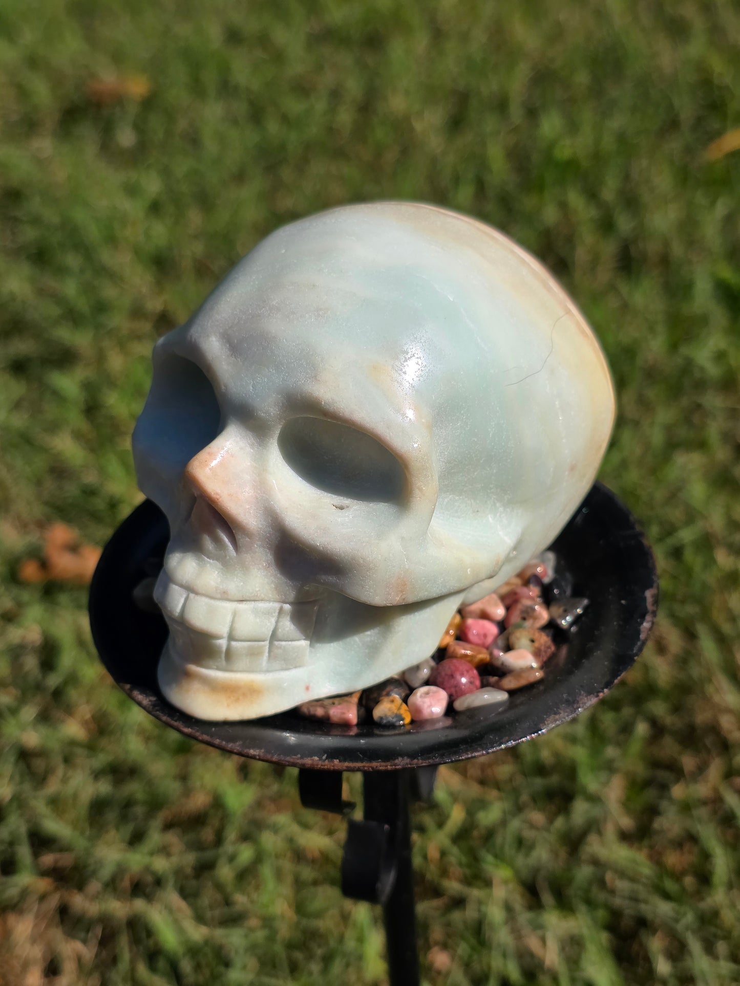 🌴 Caribbean Calcite Skull – Ocean Dreamer (approx. 3.5 in, UV Reactive)