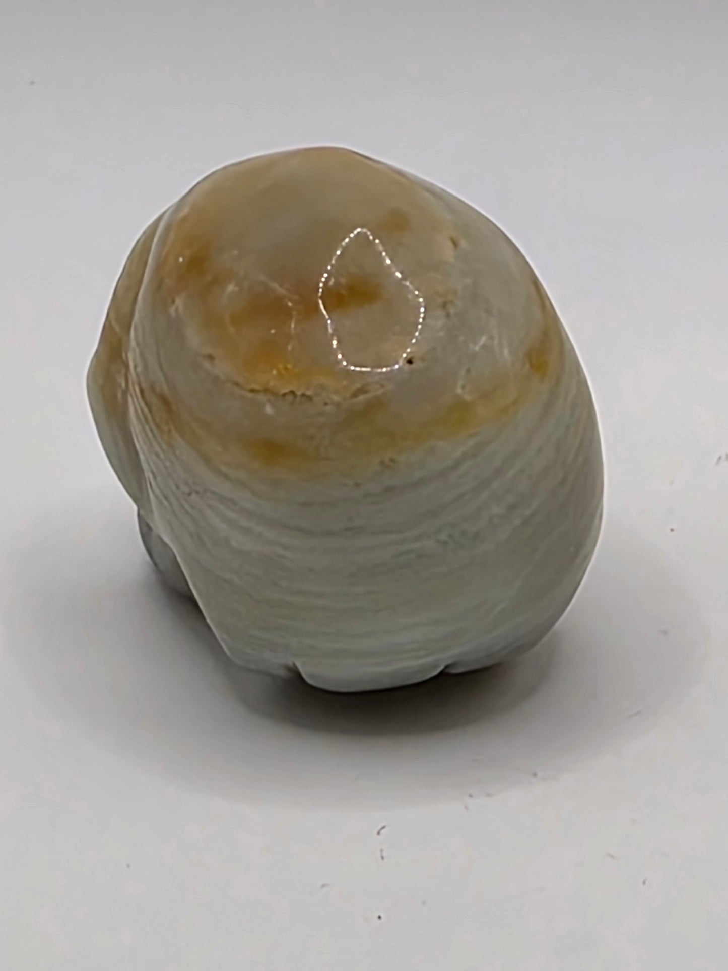 🌸 Carribean Calcite Small Skull Carving — Gentle Renewal (2"x1.5"x1.25")