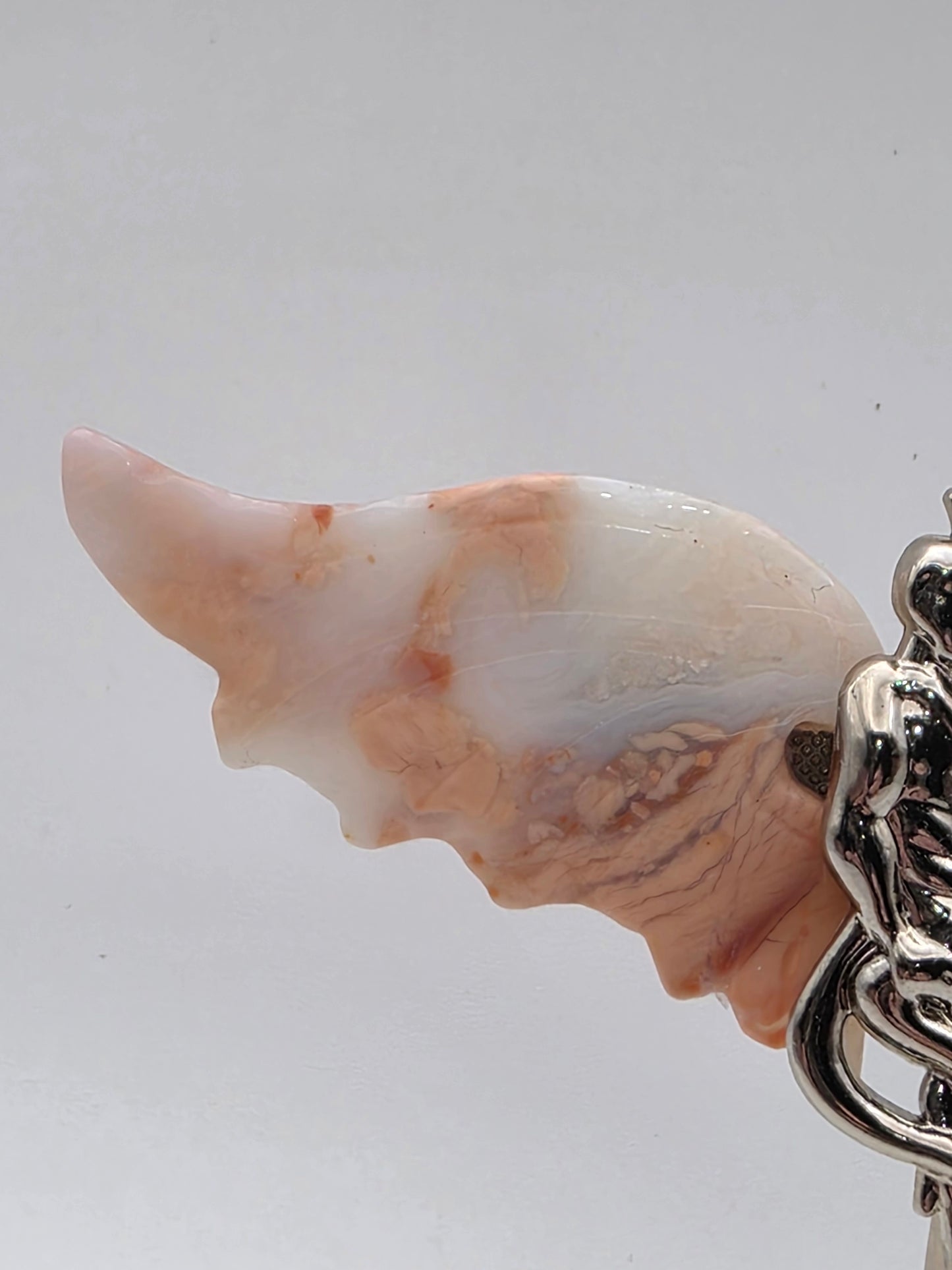 Close-up of Pink Agate wing with creamy blush and natural banding.
