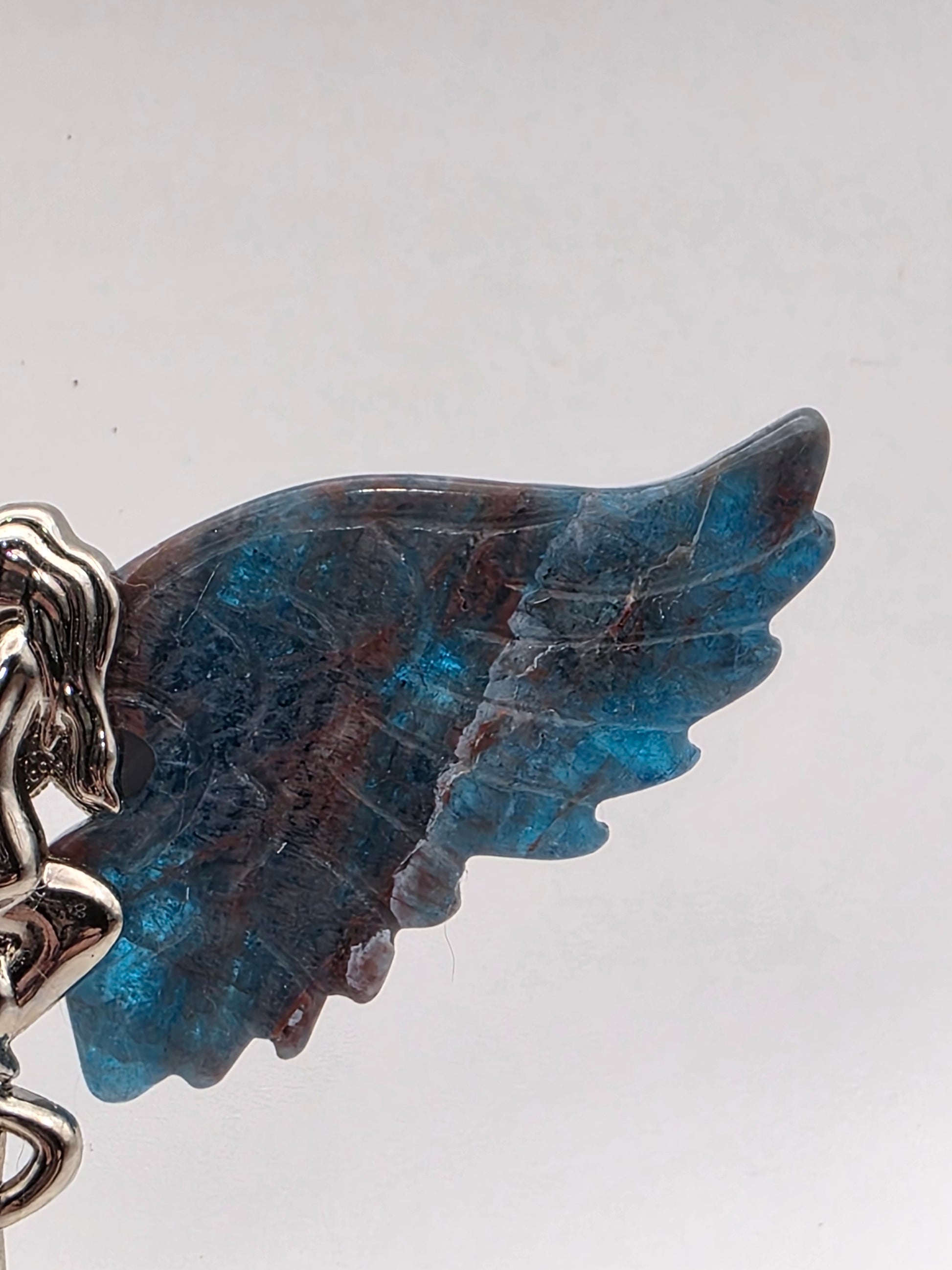 Close-up of Blue Apatite wing showing deep teal and coppery inclusions.