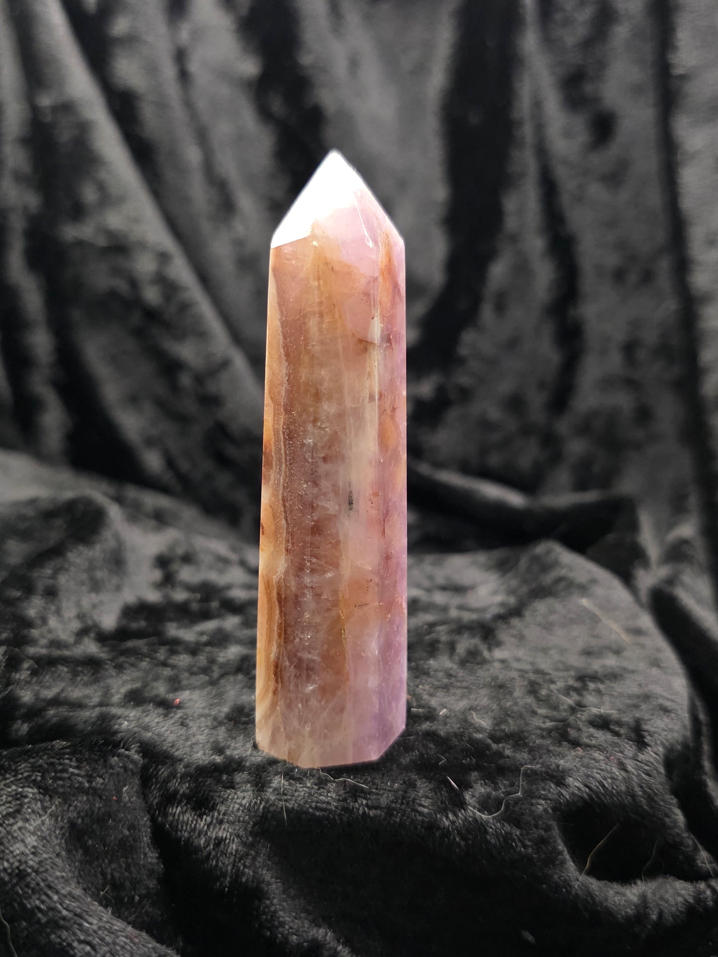 Amethyst x Mexican Crazy Lace 3.5 inches