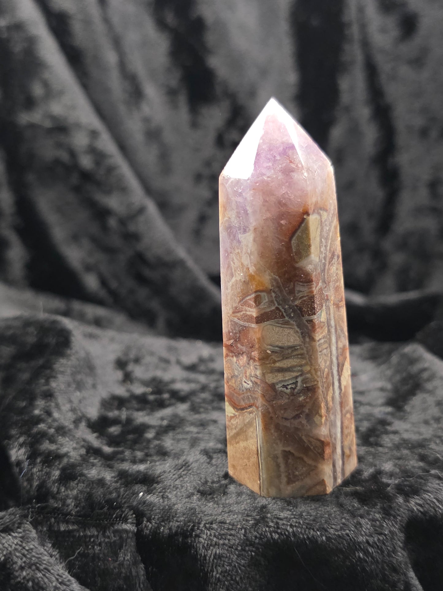 Amethyst x Mexican Crazy Lace - 3.25 inches
