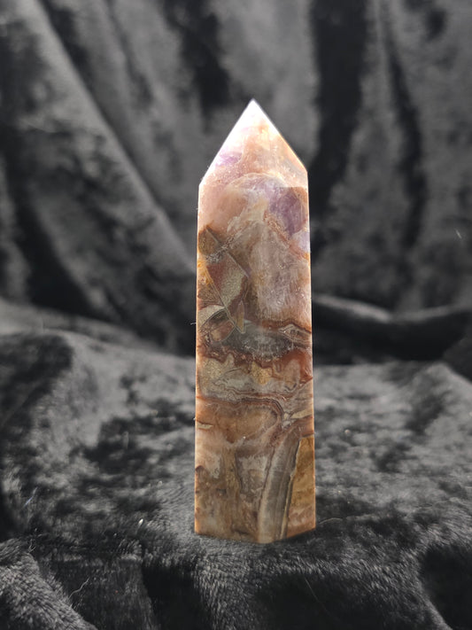 Amethyst x Mexican Crazy Lace - 3.25 inches