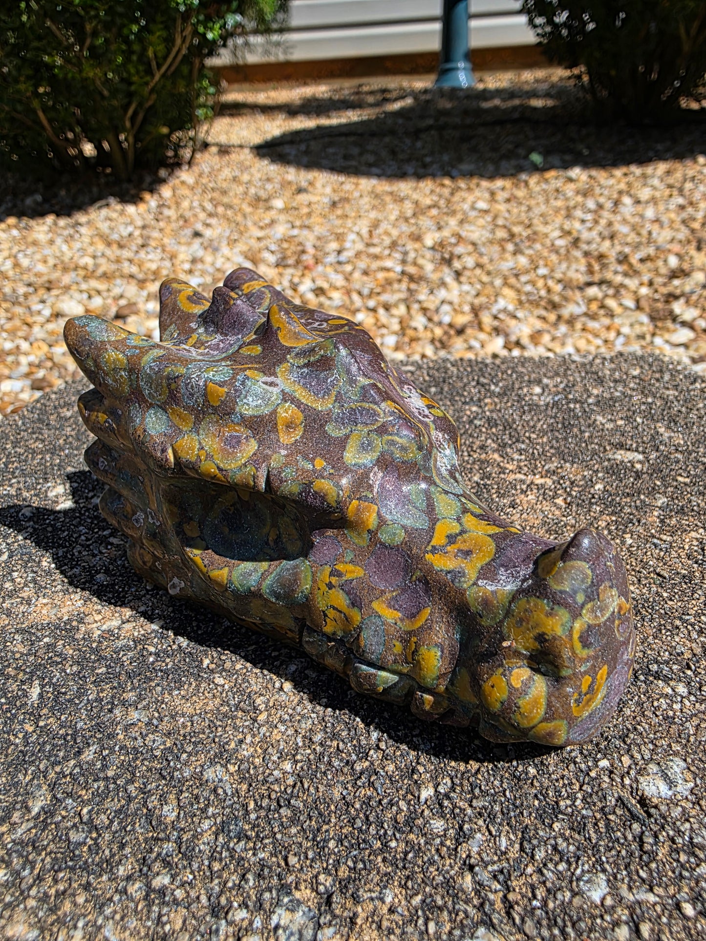 🪶 Fruit Jasper Dragon Head Carving — Grounded Strength (4" x 2" x 2.3")